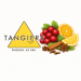 Тютюн для кальяна Tangiers Noir Holiday Punch 250 гр